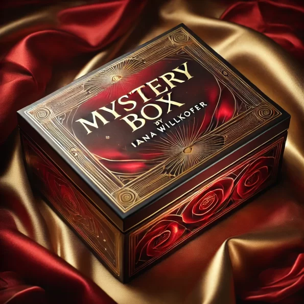 Mystery box Iana Willkofer, pensule machiaj, produse machiaj profesionale