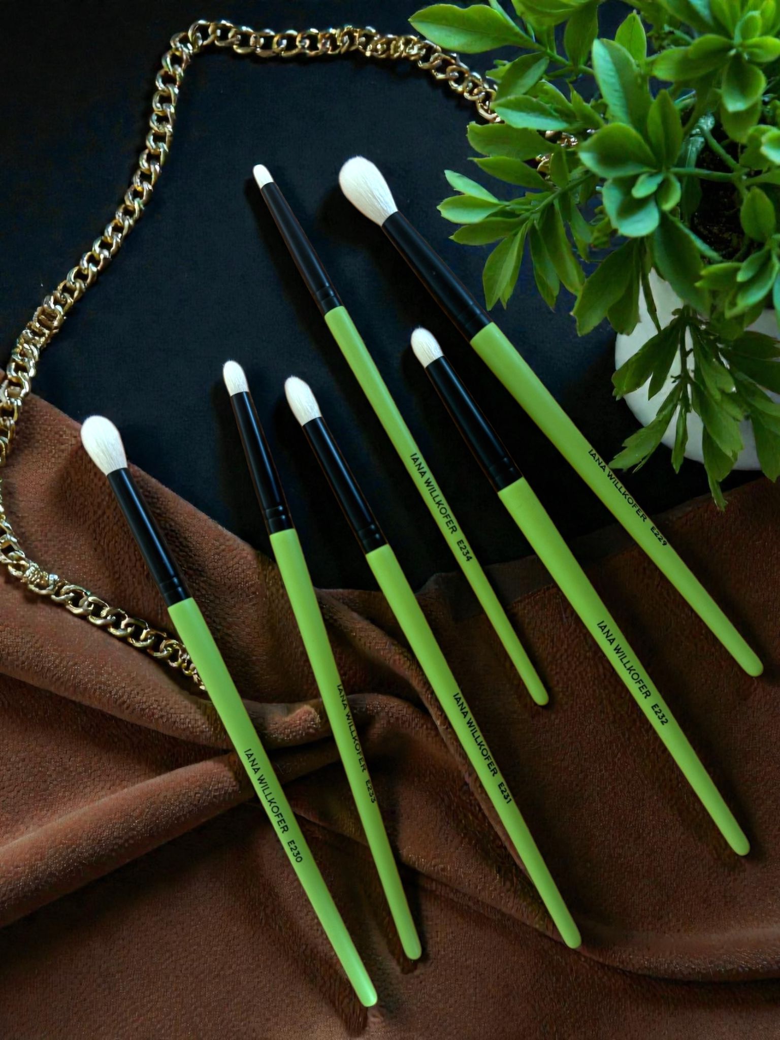 WhatsApp Image 2026-02-08 at 14.26.56 (1)